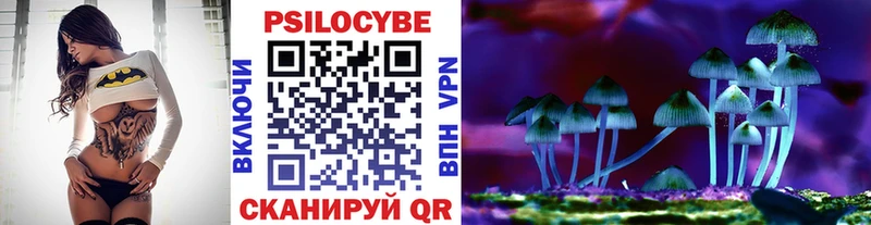 Купить где  Кирс  Галлюциногенные грибы мицелий 